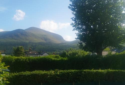 a view of a mountain with a tree and bushes at Fjell2Sea in Newcastle