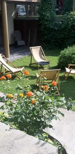 two chairs and a bush with flowers in a yard at Дом в лесу на берегу Днепра для отдыха с купелью на дровах, аппартоменты in Budishche