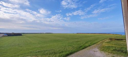 a field of green grass with a dirt road at Villa Vandkant in Thyholm