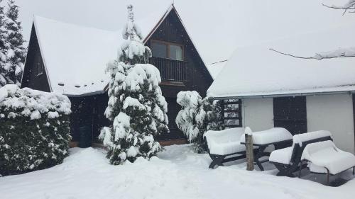 una casa con un árbol de Navidad cubierto de nieve en el patio en Chata č.6, en Zlaté Hory