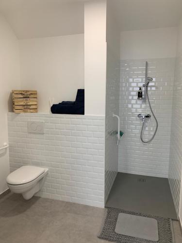 a bathroom with a shower with a toilet and a sink at L'HERMANCERIE in Priay