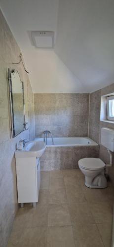 a bathroom with a tub and a toilet and a sink at Vila Elena in Niš