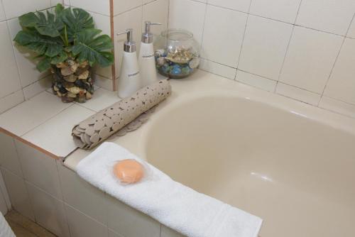 ein Badezimmer mit einer Badewanne mit Pflanze in der Unterkunft Departamento Balcarce Jujuy 4B in San Salvador de Jujuy