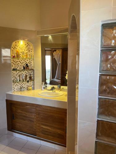 uma casa de banho com um lavatório e um espelho em Villa Les CoCotiers em Saly Portudal