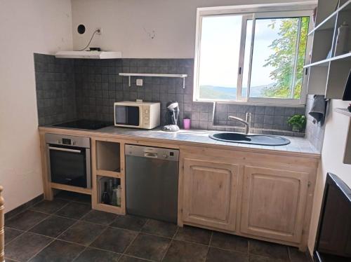 a kitchen with a sink and a microwave at Maison de village, charmante et authentique, haute-corse in Vezzani