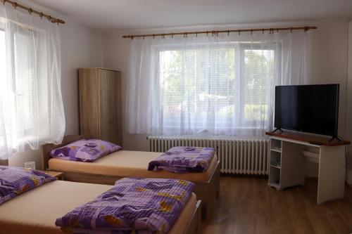 a room with two beds and a flat screen tv at Ubytování EVA in Stará Říše