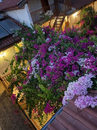 Ein Garten an der Unterkunft Konak Su Hotel
