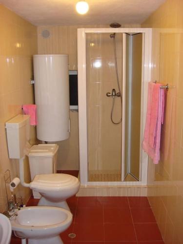 a bathroom with a toilet and a shower at A casinha in Cerejeiras