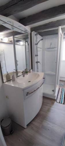 La salle de bains blanche est pourvue d'un évier et d'un réfrigérateur. dans l'établissement Gite de la fontaine Bondrée, à Vernou-sur-Brenne