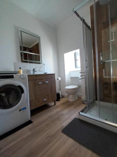 a bathroom with a washing machine and a shower at Casa Ocre Alojamento Local in Abrantes
