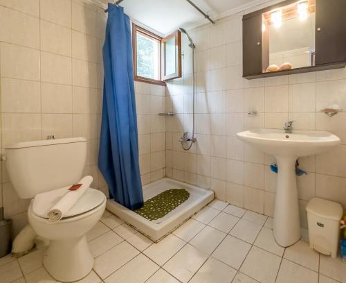 een badkamer met een toilet, een wastafel en een douche bij Fisherman's House in Sinoikismós Plakálona