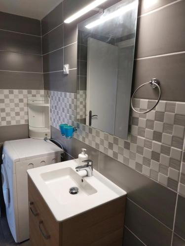 une salle de bain avec un lavabo, des toilettes et un miroir dans l'établissement Gites Pleine Nature Belledonne, à Saint-Martin-dʼArdèche