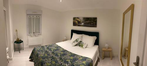 1 dormitorio con 1 cama en una habitación en DOMAINE DE GUILLEMIN en Saint-Louis-de-Montferrand