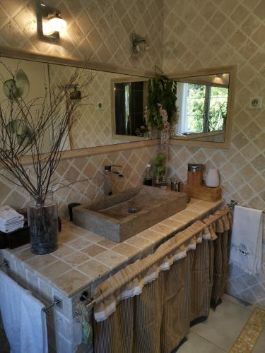 une salle de bain avec un grand lavabo et un miroir dans l'établissement La provence, à Saint-Prim