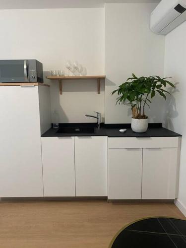 une cuisine avec des armoires blanches et une plante en pot dans l'établissement #Le Jaurès - Studio à la Gare - Neuf et Lumineux, à Brive-la-Gaillarde