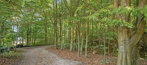 a dirt road in the middle of a forest with trees at Aarhus - cozy house, 10 min from city center in Aarhus