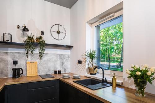 a kitchen with a sink and a window at Apartament Parkowy przy Stadionie Śląskim Katowice Chorzów in Chorzów