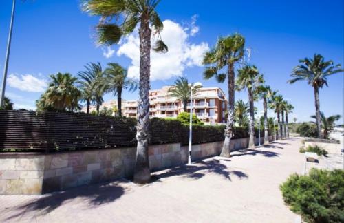 estrellademar