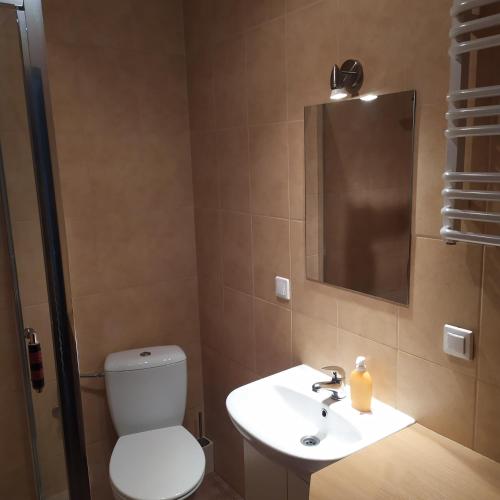 a bathroom with a toilet and a sink and a mirror at Nad Dunajcem in Sromowce Niżne
