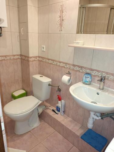 bagno con servizi igienici e lavandino di Apartament w Sercu Starego Miasta a Olsztyn