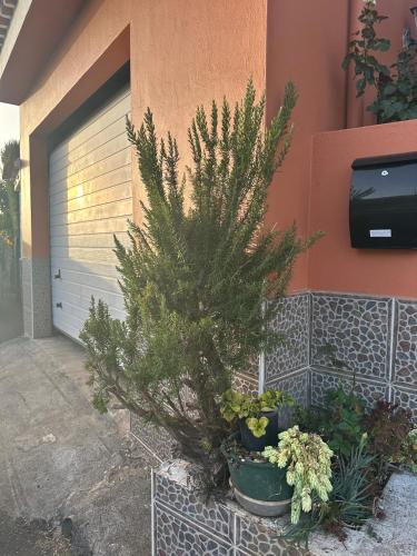 Φωτογραφία από το άλμπουμ του Apartamento Fortaleza σε Vallehermoso