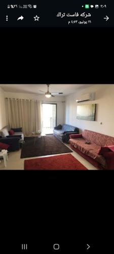 مراسي مارينا – Photos 5