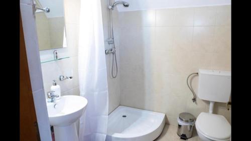 W łazience znajduje się umywalka, toaleta i prysznic. w obiekcie Casa dintre Brazi w mieście Arieşeni