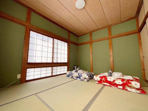 Takibeにある角島シェア&ゲストハウスSumikkoオーシャンビューの犬がいるゲストハウスで特別な交流体験個室とドミトリーの緑の壁と窓が特徴の客室で、ベッド2台が備わります。