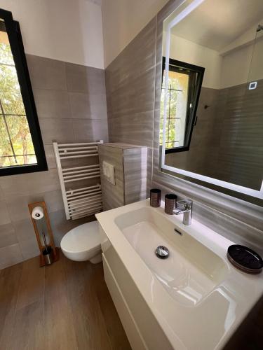 une salle de bain avec un lavabo, des toilettes et un miroir dans l'établissement Villa Ena, à Figari