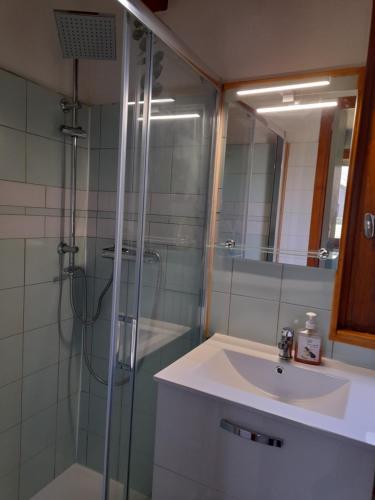 a bathroom with a shower and a sink and a mirror at Village de gites Lapeyre in Lapeyre