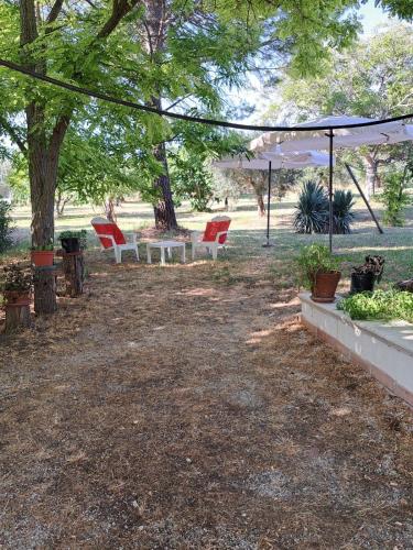 a group of chairs sitting under a tree at La Casa nel Verde in Larino