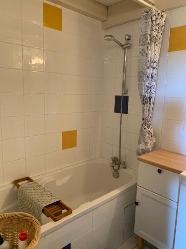 une salle de bain avec baignoire et douche dans l'établissement Ocelandes 39, à Saint-Julien-en-Born