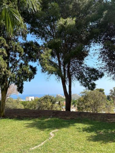 COSTA DEL SOL INN Apartments