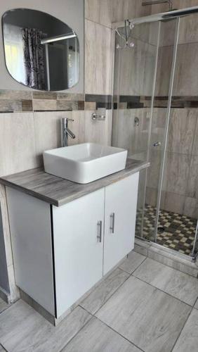 a bathroom with a white sink and a shower at Tranquility on St James in Johannesburg