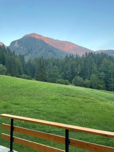 a wooden bench sitting in front of a green field at Hiša Pr Valter in Jesenice