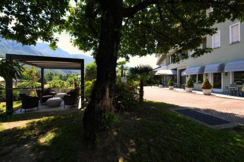 a tree in a yard next to a building at Hotel Internazionale in Domodossola
