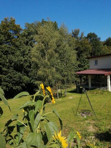a garden with flowers and a house in the background at CHEZ YAYA Bogumiła Szeląg in Zalasowa
