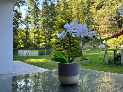 a vase with white flowers sitting on a table at Pöstlingbergoase in Linz