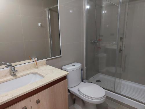 W łazience znajduje się toaleta, prysznic i umywalka. w obiekcie Bienvenido a Valdivia II w mieście Valdivia