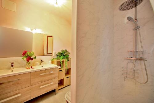 a bathroom with a shower and a sink at Chez Léontine grand gîte in Lacave