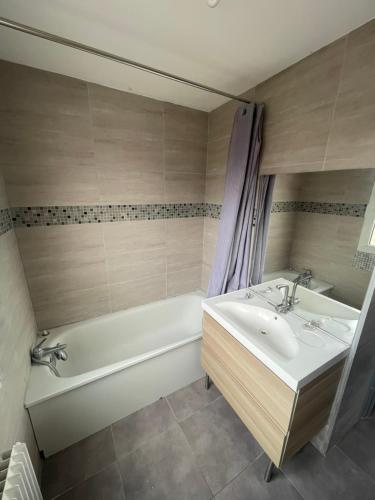 ein Badezimmer mit einer Badewanne, einem Waschbecken und einer Badewanne in der Unterkunft Bel appartement cosy très calme avec parking privé in Templemars