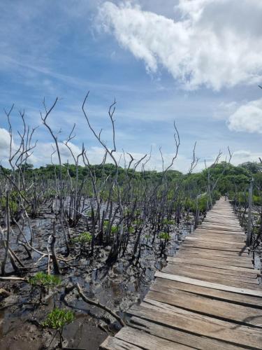Landskap semula jadi dekat dengan vila ini