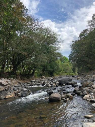 a stream of water with rocks and trees at Luxury Villa Caoba- Private, Serene, Amazing Views at Finca Chilanga in San Mateo