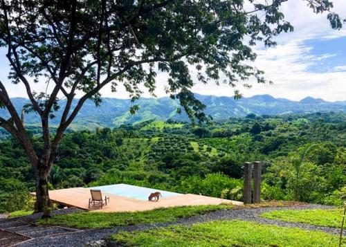 a pool in the middle of a hill with a tree at Luxury Villa Caoba- Private, Serene, Amazing Views at Finca Chilanga in San Mateo