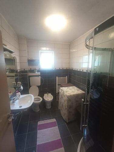 a bathroom with a toilet and a sink and a shower at Sleep & fly - Single room with shared bathroom in Sarajevo