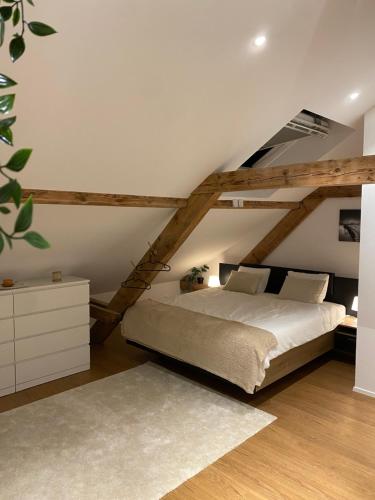 ein Schlafzimmer mit einem großen Bett im Dachgeschoss in der Unterkunft Eine schöne Wohnung an der Birs in Basel