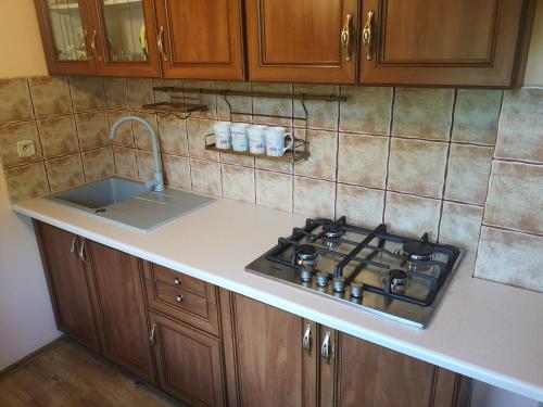 a kitchen counter with a stove and a sink at Ustroń Dom Aneta in Ustroń