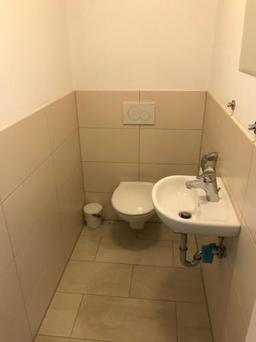 a bathroom with a sink and a toilet at Lindenberger Ferientraum in Lindenberg im Allgäu