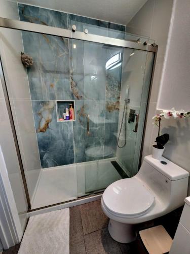 uma casa de banho com um chuveiro e um WC branco em Cozy Bedroom with Private Ensuite Bathroom - Room # 2 in SAHRED house NO PET em Orlando