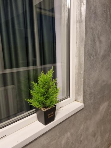 Gambar di galeri bagi Golden Apartment - Militari Residence Bucharest di Dudu